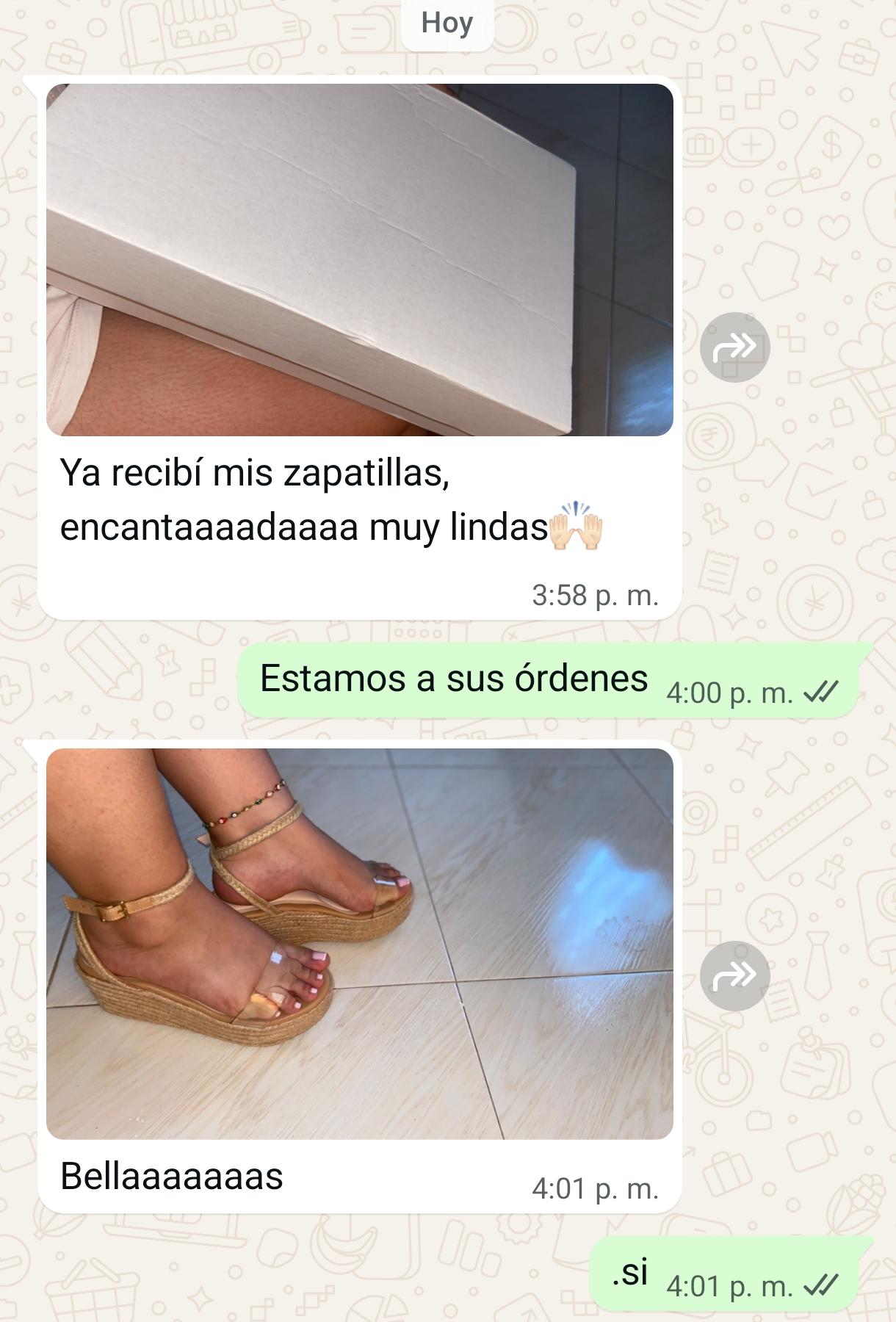 WhatsApp Ledy